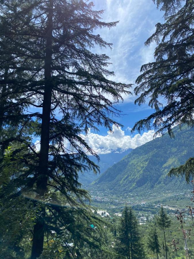 Tag'S Stay, Naggar Nagar  Eksteriør bilde